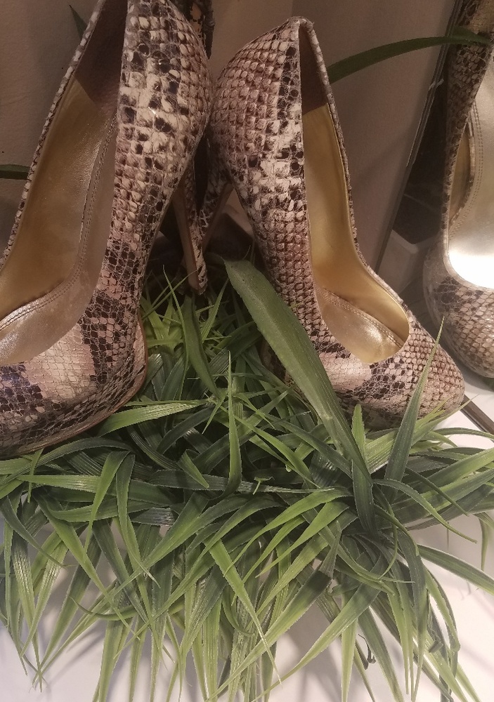 Aldo snale skin heels